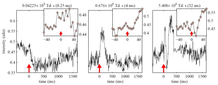 Fig. 7