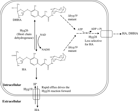 FIG. 7.