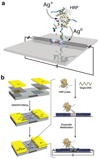 Figure 45.