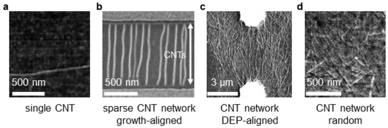 Figure 9.