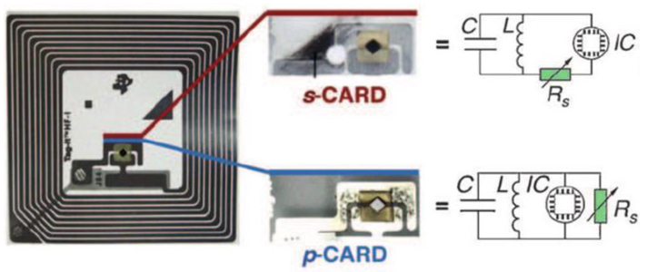 Figure 11.