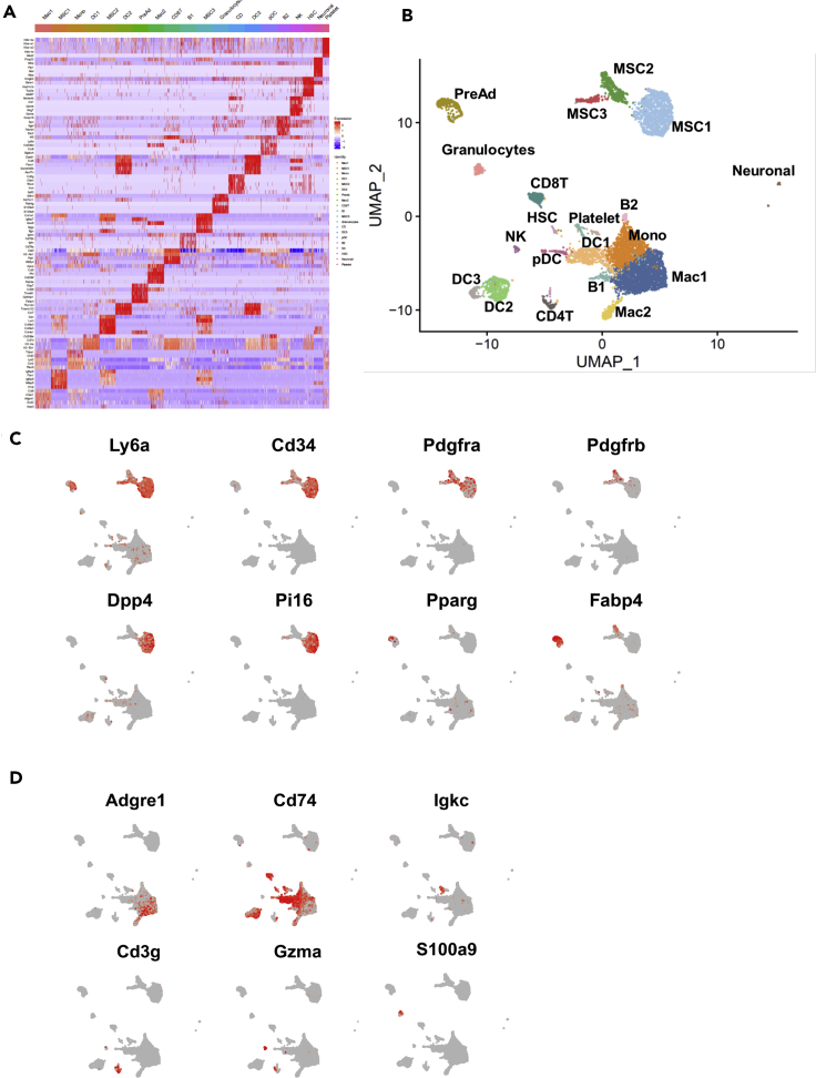 Figure 2