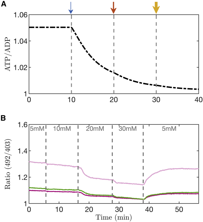 Figure 9