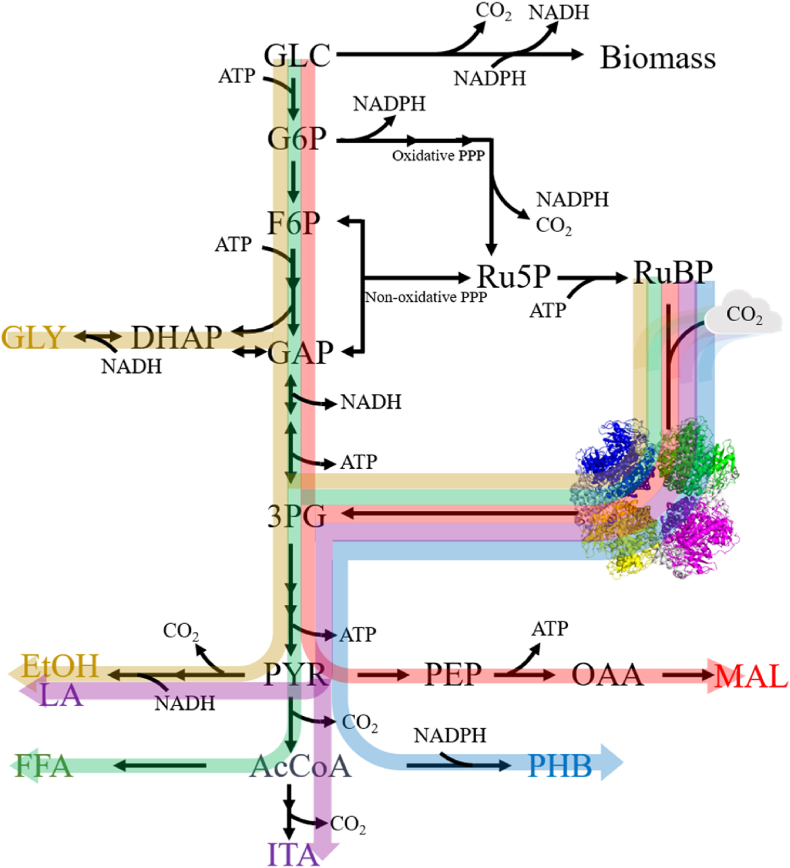 Fig. 4