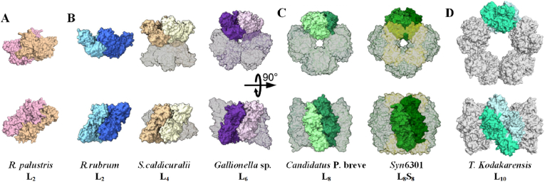 Fig. 1