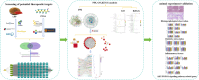 Image, graphical abstract