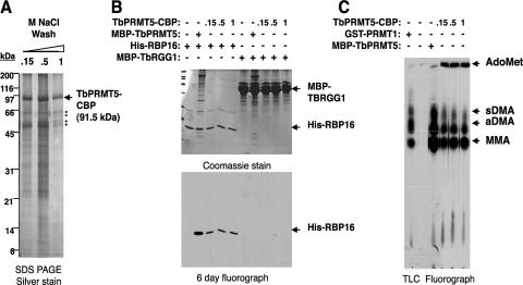 FIG. 8.