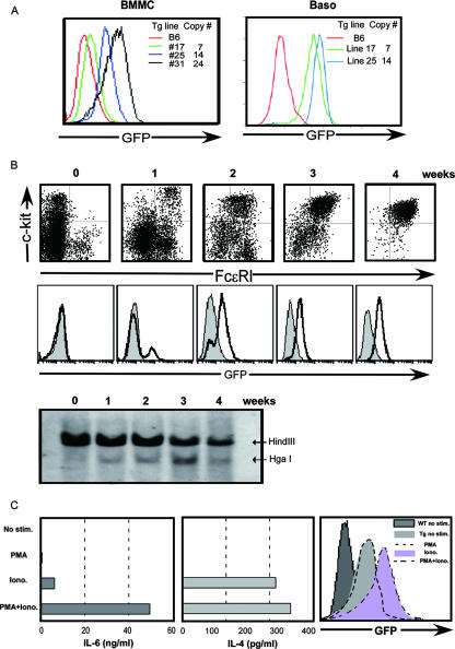 FIG. 3.