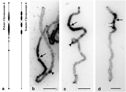 Figure 1.—