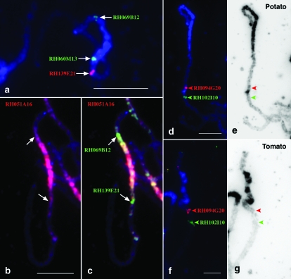 Figure 4.—