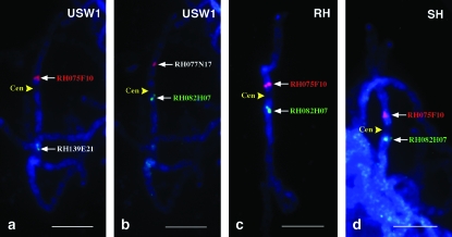 Figure 3.—