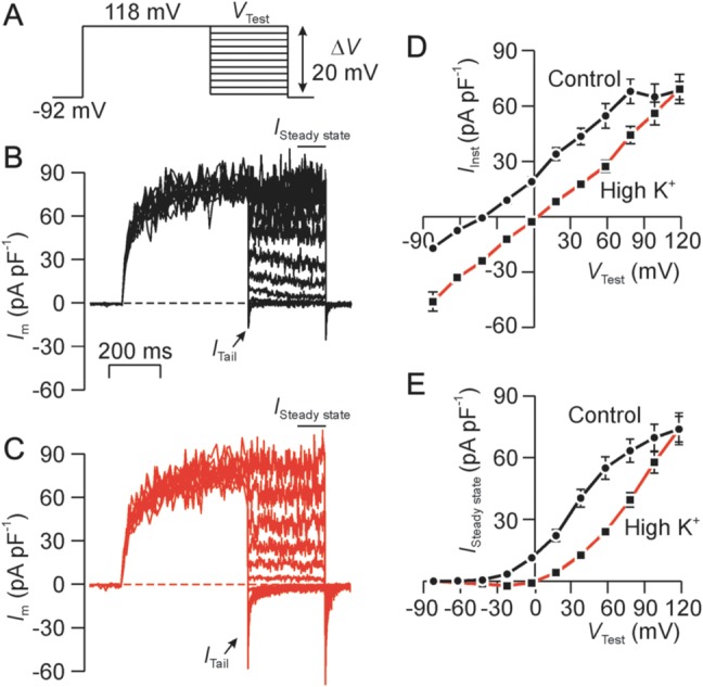 Figure 11