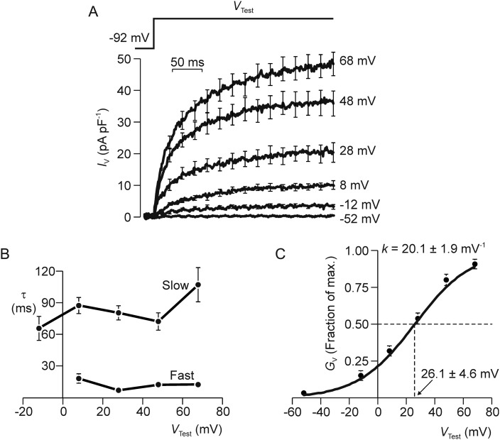 Figure 5