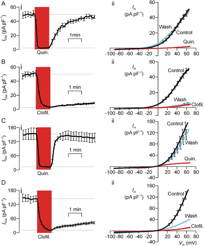 Figure 10