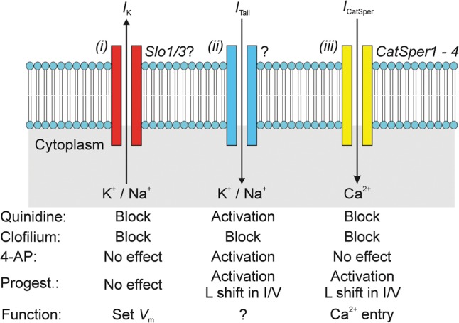 Figure 15