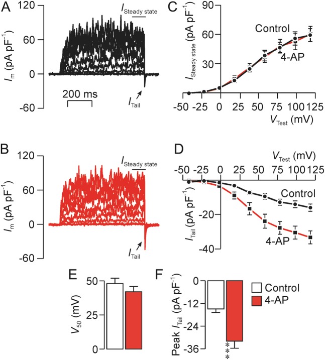 Figure 13