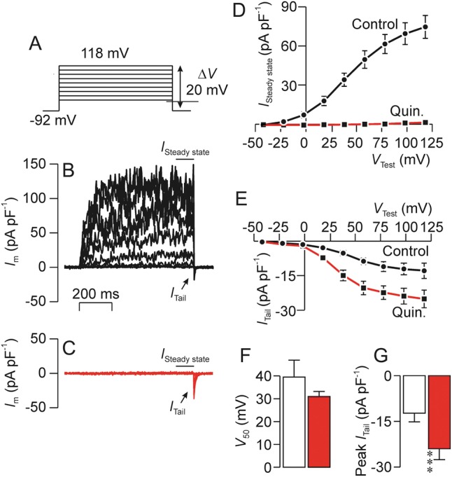 Figure 12