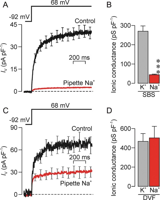 Figure 6