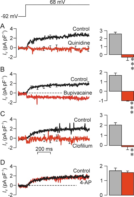 Figure 7