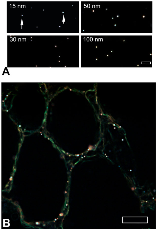 Figure 7.