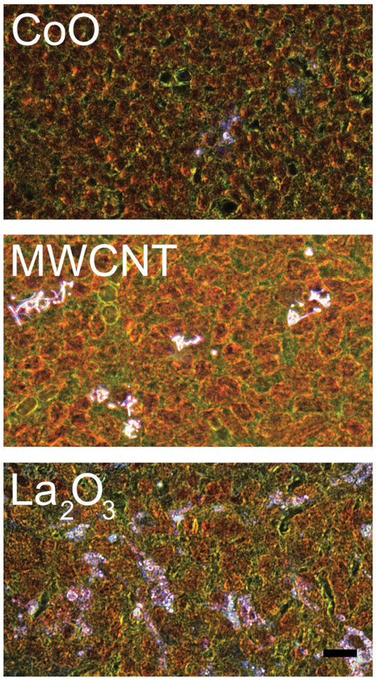 Figure 12.