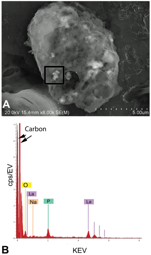 Figure 13.