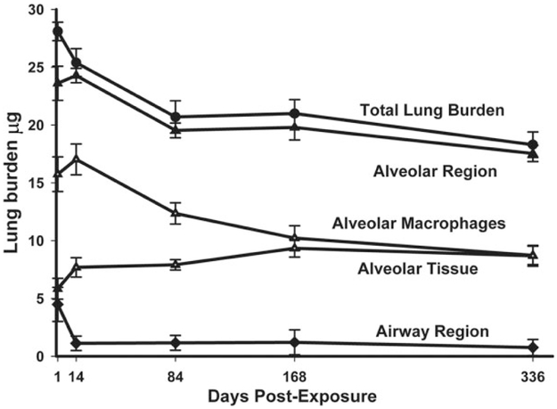 Figure 11.