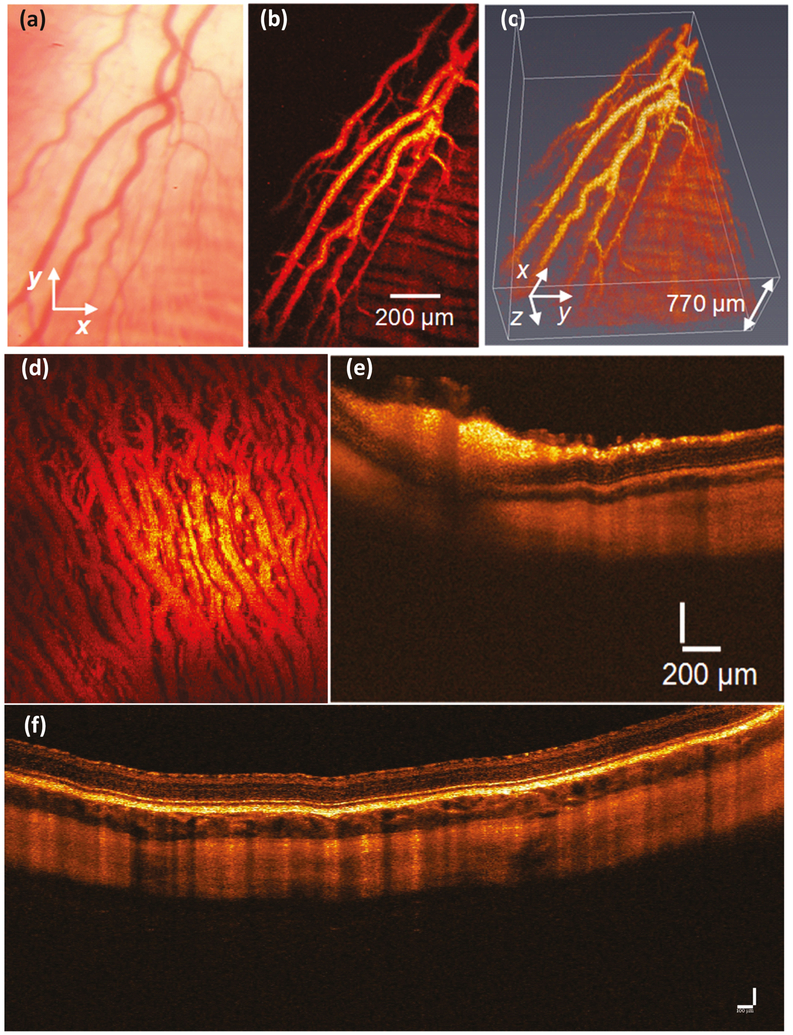 Figure 9.