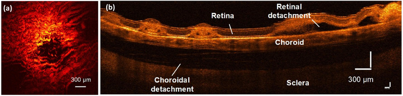 Figure 10.