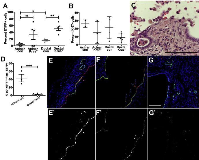 Figure 10