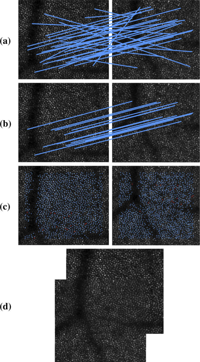 Fig. 3.