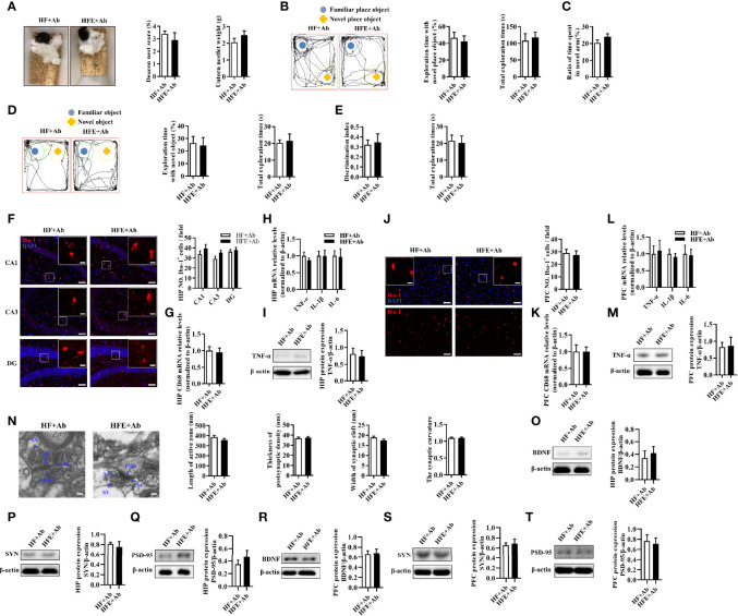 Figure 6