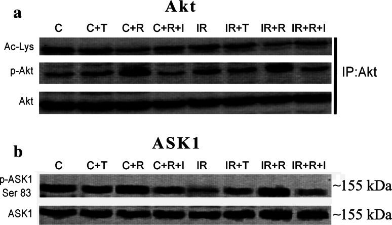 Fig. 8