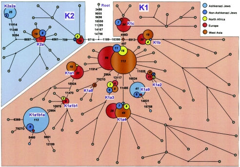 Figure  2