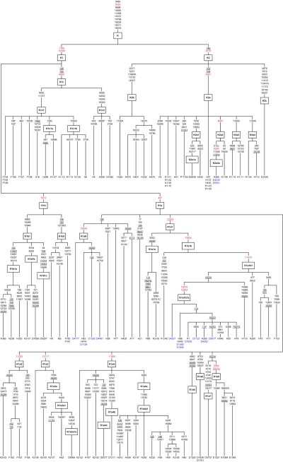 Figure  1