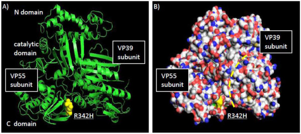 Figure 11