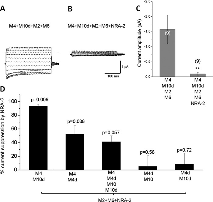 FIGURE 5.