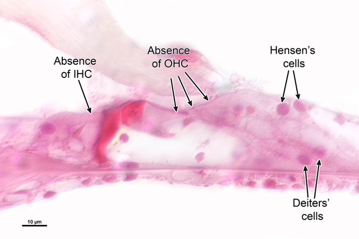 Figure 9