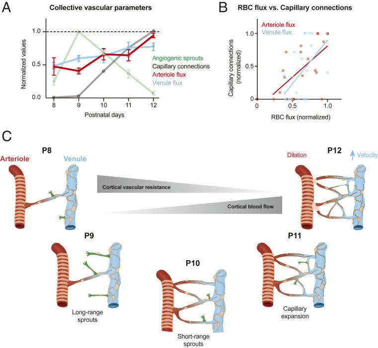 Fig. 7.