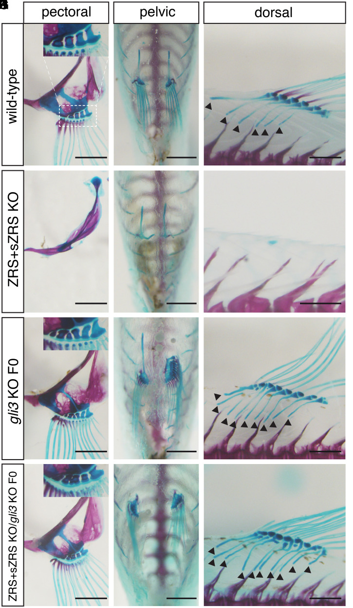 Fig. 3.