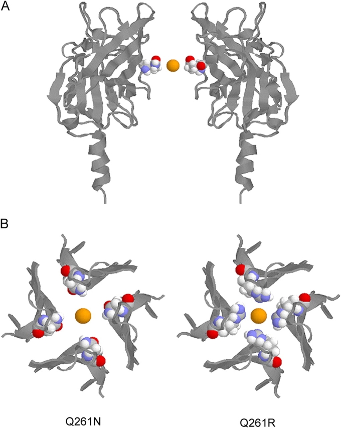 Figure 11. 