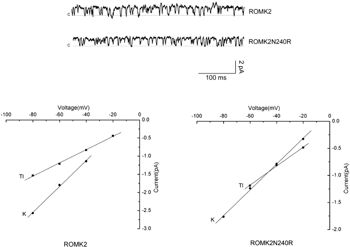 Figure 10. 