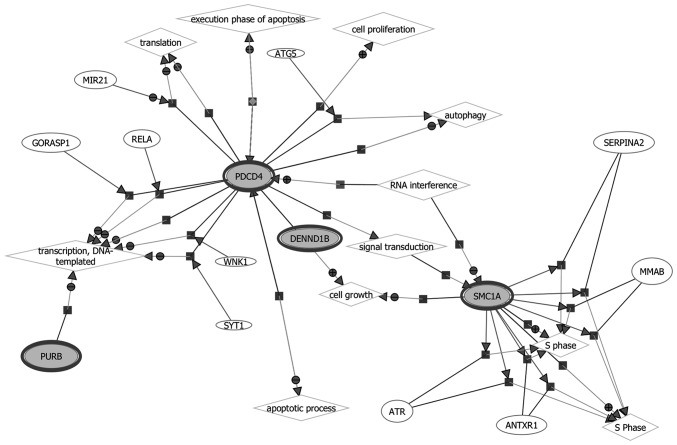 Figure 4.