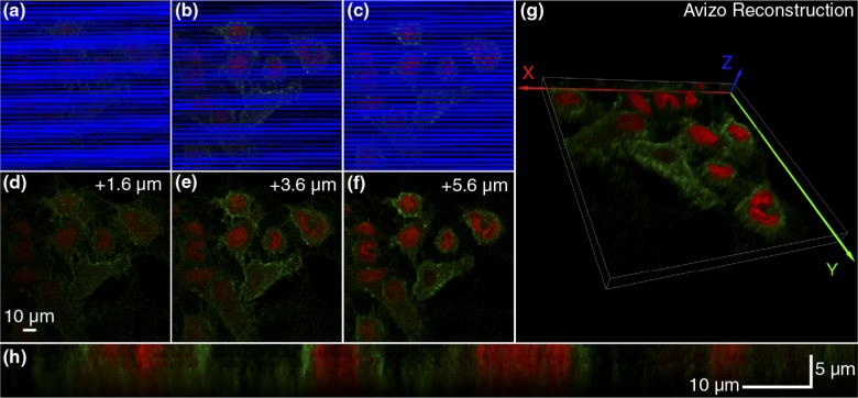 Fig. 7.