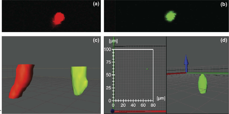 Fig. 10.