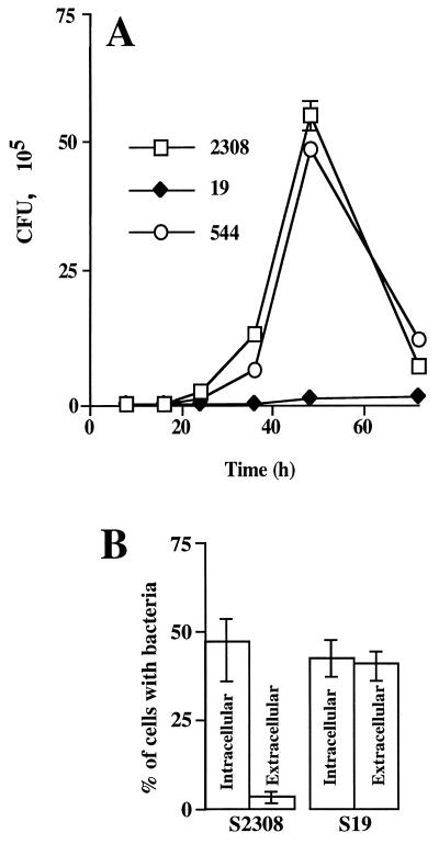 FIG. 1