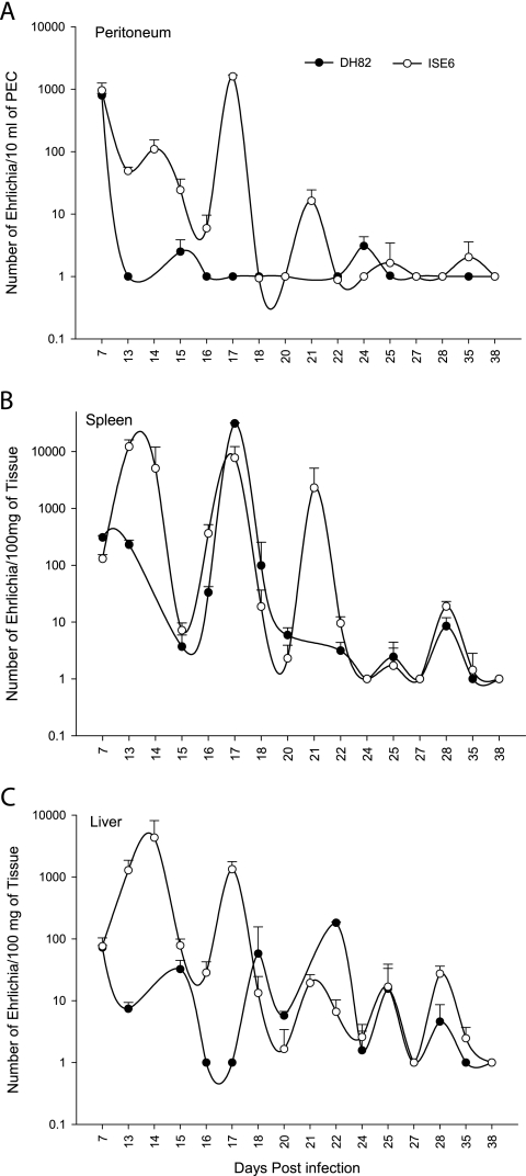 FIG. 1.