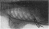 128-7