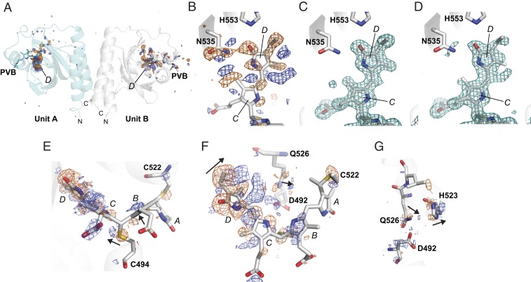 Fig. 4.