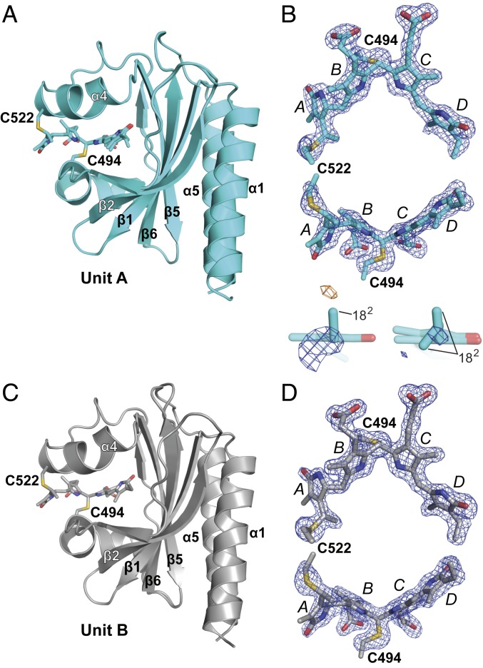 Fig. 6.